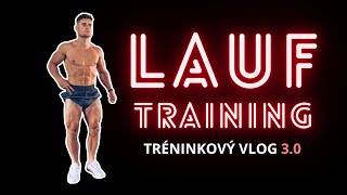 LAUF training 3.0: Jak vypadá moje předtréninková rozcvička? Je strečink po tréninku důležitý?