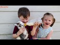 Kids at the zoo - Funny animals / kids