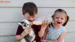 Kids at the zoo - Funny animals / kids