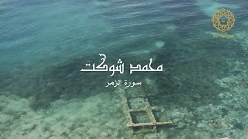 سورة الزمر- محمد شوكت || Surah Az-Zumar - Muhammad Shawkat