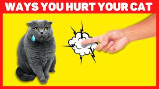 Ways you are hurting your cat without realizing it 😿