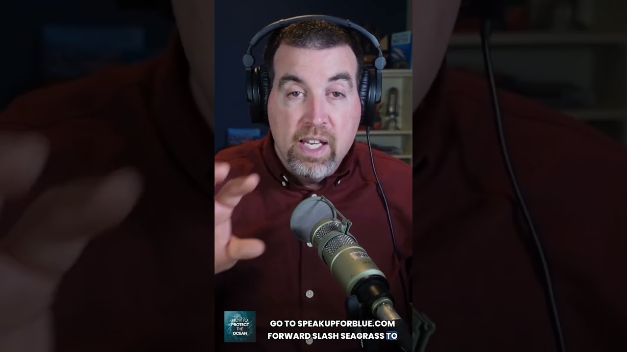 People-powered funding is changing ocean conservation.