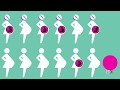 Folic Acid and Birth Defects Quiz