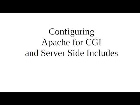 Configuring Apache to use CGI and Server Side Includes