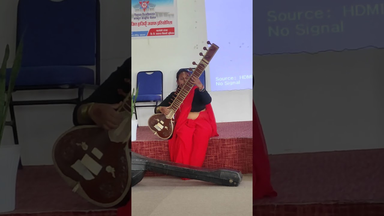 The Art of the Sitar: Tradition, Technique & Legacy