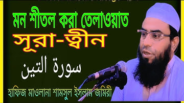 #সূরা# আত-তিন سورة التين তেলাওয়াত | Hafiz Maulana Shamsul Islam Jomiri | Surah At-Tin Tilawat