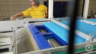 Apollo Engineering Single Sachet Packaging Line