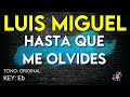 Luis Miguel - Hasta Que Me Olvides - Karaoke Instrumental