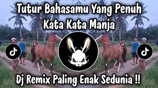 Tutur Bahasamu Yang Penuh Kata Kata Manja  Dj Mimpi Manis  Stop Kau Mencuri Hatiku  Viral Tiktok