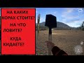 Русская рыбалка 4.Как искать коры,подбирать приманку.Полезные сайты.