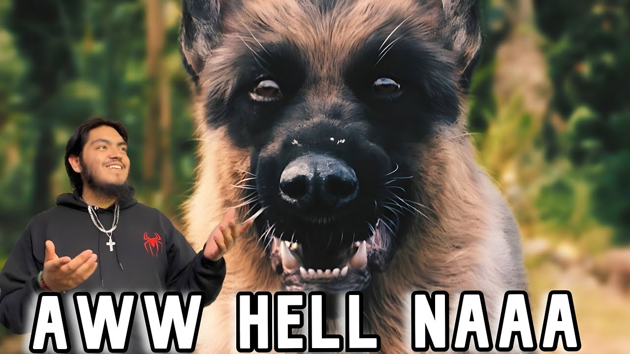 They are literal HELL HOUNDS!! | A Breed Apart Trailer reaction