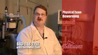 Waccamaw Vet Love and Care