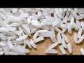 Alerta Nicaraguenses como reconocer El Arroz Plastico es venenoso