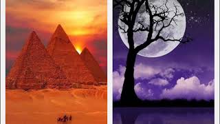 GOOGLE+. Nยบ 89. AVI. 200.000 FOTOS. EN VรDEOS.