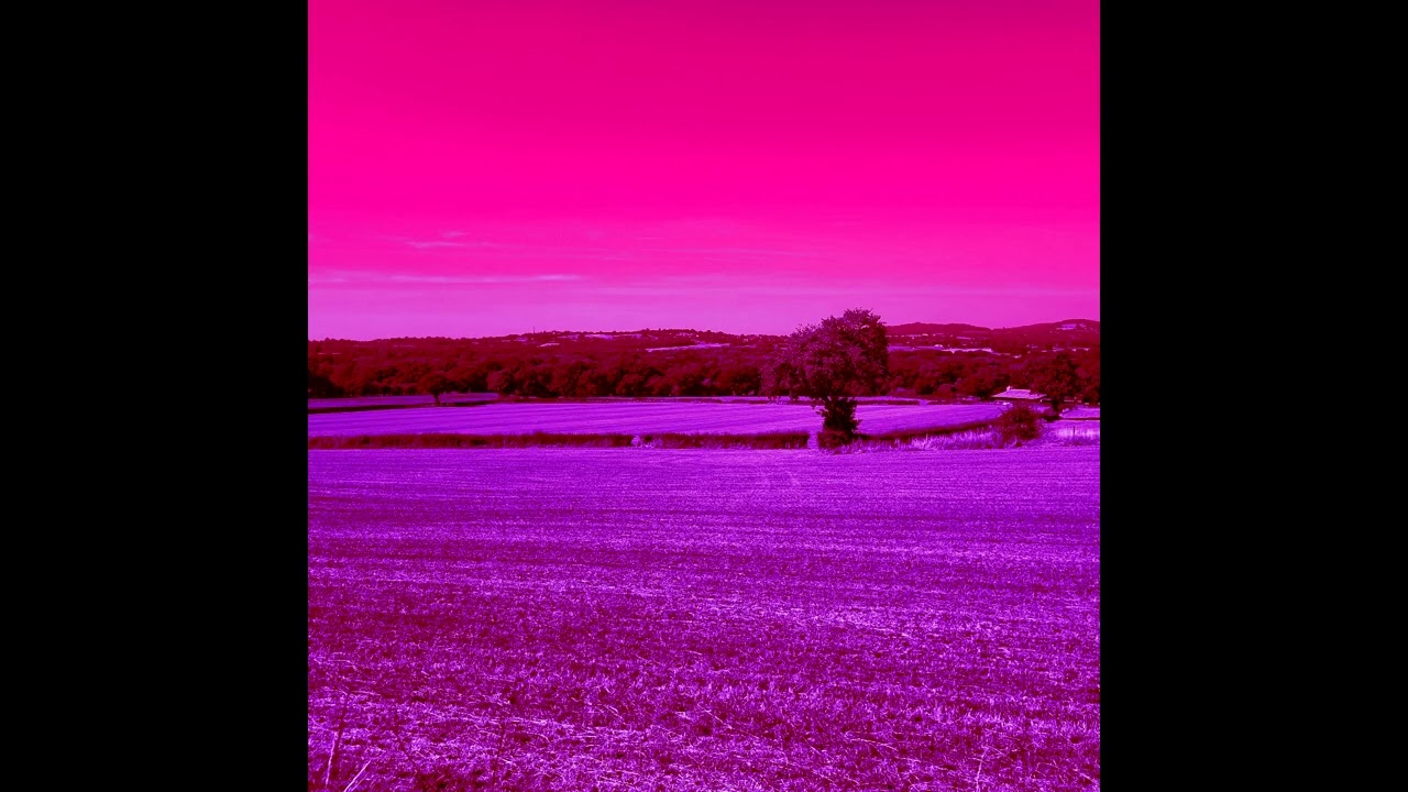 A Vinyl Playing Birdsong (Audio)