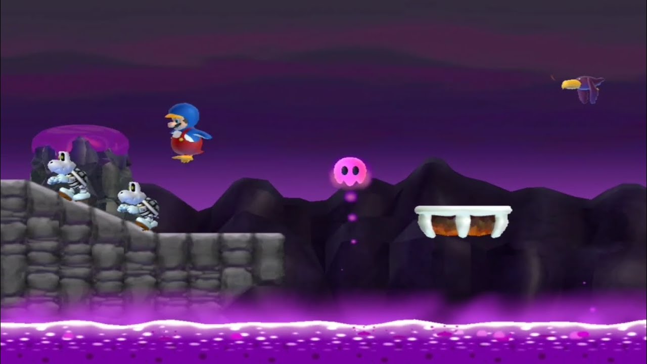 Mario's Final Adventure Wii (100%) #20