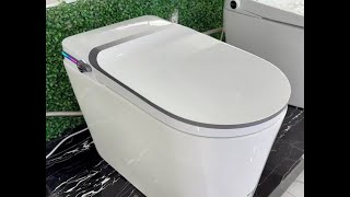 Smart Toilet Installation Guide (Bolt Fixation)