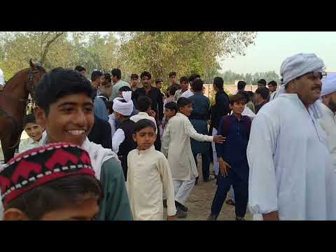 Punjab Cultural Day || GHS 45-AMB || 14th March 2022 || Beautiful glimpses of Cultural Day 2022