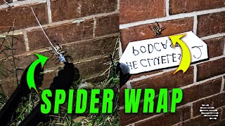 Banana Spider Quickly Wraps a Black Widow Spider