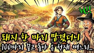 Nàng dâu thiên tài: 1 con lợn thành 100 con sau 3 năm! - Truyện cổ tích Hàn Quốc (Yadam) screenshot 5