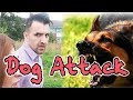 Dog attack  ozzy raja