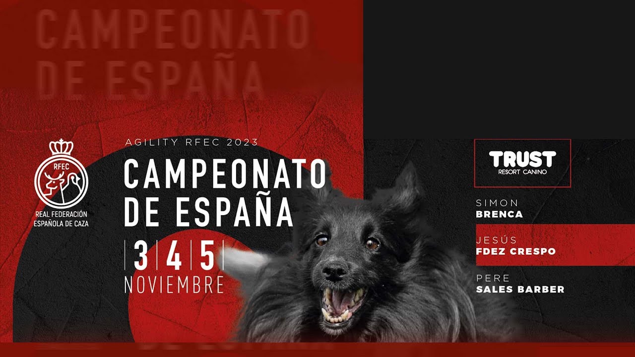 EN VIVO ► FINAL CAMPEONATO DE ESPAÑA AGILITY RFEC 2023 (Spain)
