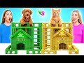 We Build Secret Rooms For Pets Rich Cat Vs Poor Dog By Multi DO Smile 