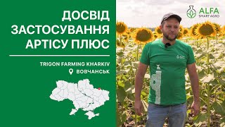 Фунгіцид Артіс Плюс: міцне здоров'я соняшнику - досвід застосування на полях Trigon Farming Kharkiv