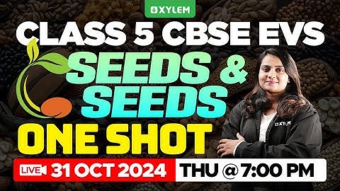Class 5 CBSE EVS | Chapter : Seeds and seeds / One Shot | Xylem Class 5 CBSE