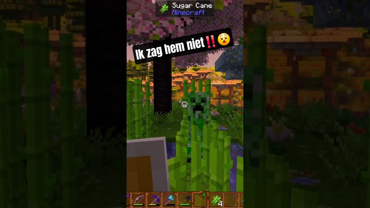 Waarom hebben ze zo'n Schutkleur😵 