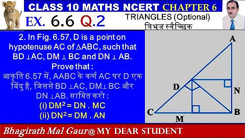 10th Maths Ex 6.6 Q2 TRIANGLES Optional  त्रिभुज स्वैच्छिक