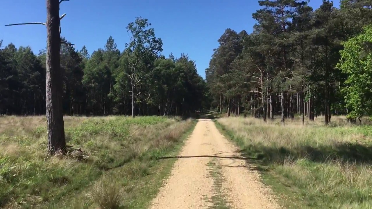 New Forest Marathon route after 10k bridge
