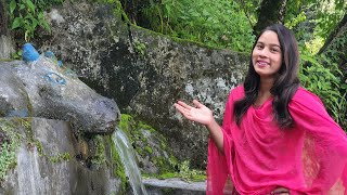 पानी के प्राकृतिक स्रोत (धारे) की सफाई || Pahadi Lifestyle Vlog || Preeti Rana