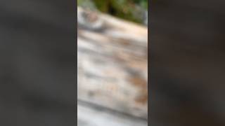 У природы нет плохой погоды, для путешествий…#погода#live#семья#горы