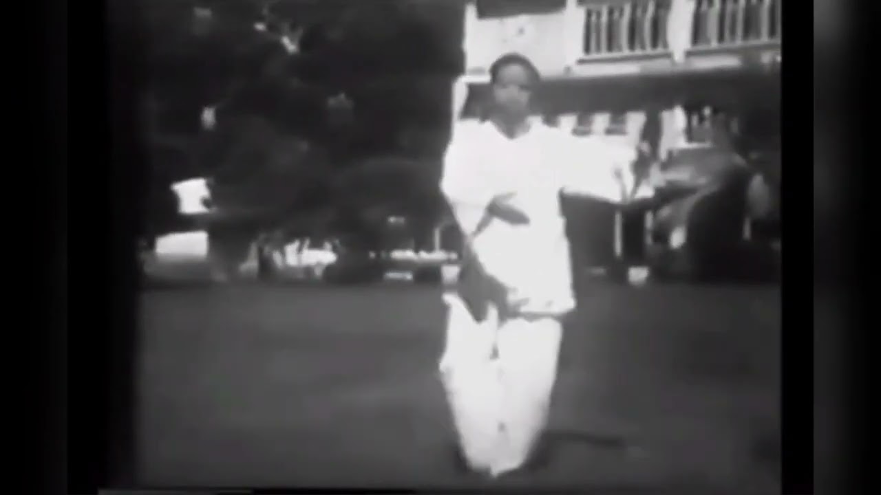 Taichi 能看到 董虎岭先生晚年的太极拳架，是您的福分！