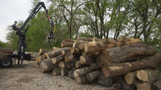 The City uses urban lumber, you can too