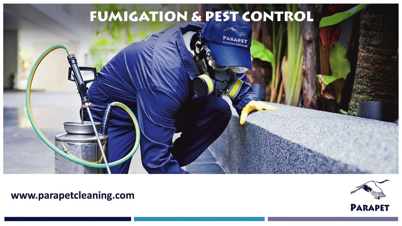 Parapet Cleaning Services YouTube