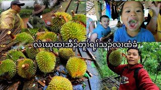 Going to found durian on mountain village, ||Toh Thu Kay village ||