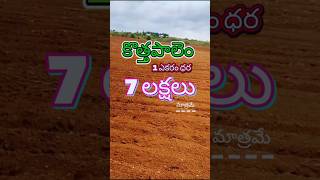 7 Acers Agriculture Land For Sale In Kothapalem | Agriculture Land For Sale | Land For Sale