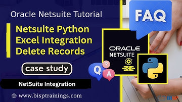 Netsuite Python Excel Integration Delete Records | NetSuite REST API Integration | NetSuite Jobs