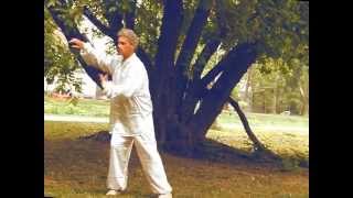 secret movements of xinyi hunyuan chen taichi chuan