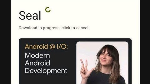 Seal App Video/Audio downloader designed and themed with Material You