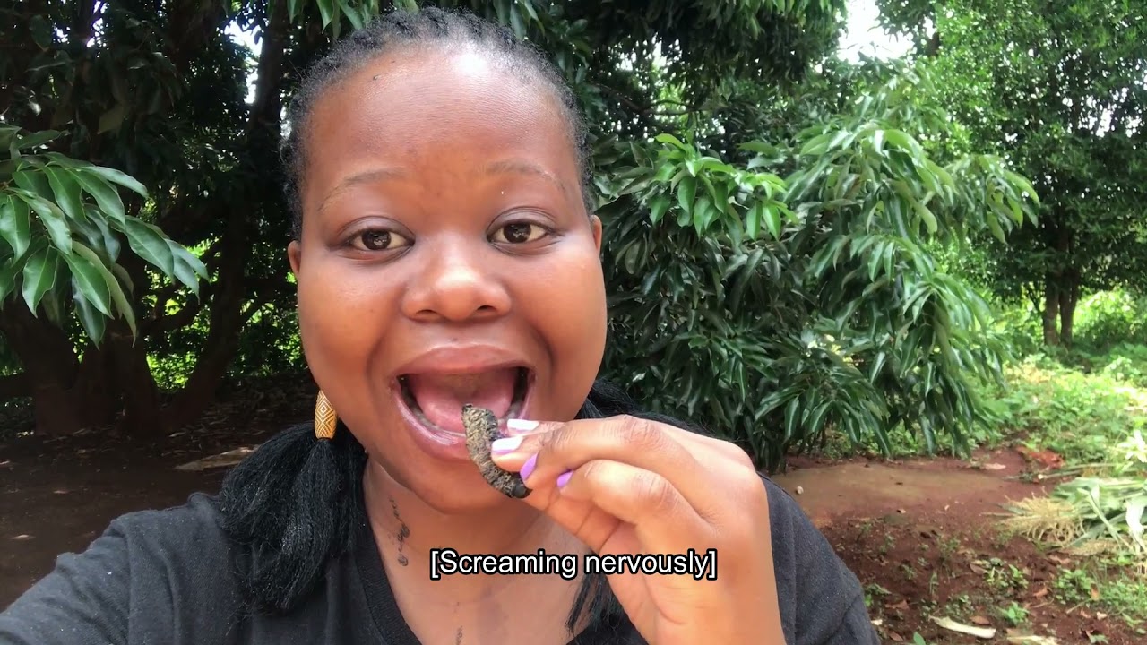 The Venda Tribe of South Africa | Learn TshiVenda South African YouTuber