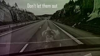 Code Electronica   Don´t let them out (Official Music Video)