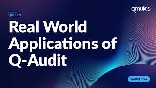 Real World Applications of Q-Audit