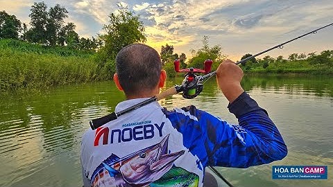 Đồ Câu Lure Mới Từ NOEBY - Ngon Bổ Rẻ