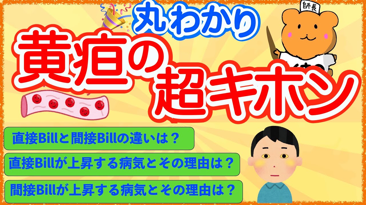 イラストで学ぶ医学 間接ビリルビンと直接ビリルビンの違いとは ビリルビンが上昇する病気や機序をわかりやすく解説 Youtube