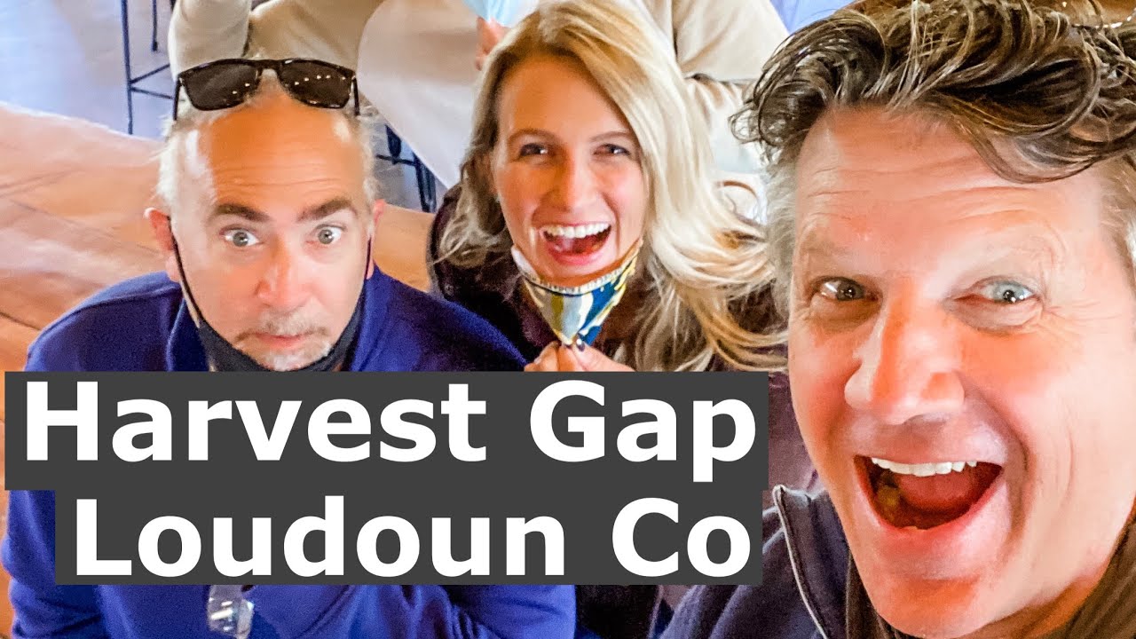 Virginia Beer:   (Harvest Gap Brewery in Loudoun)