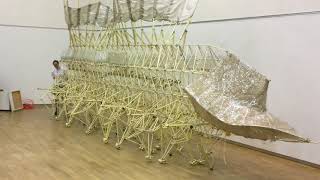 THEO JANSEN STRANDBEEST