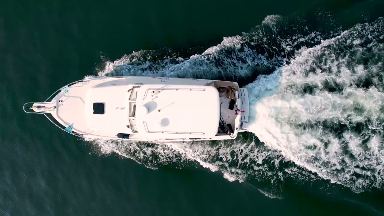 31' Mainship Pilot